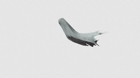 Flying White Ghost Halloween Supernatural Horror Animation Stock Footage 344369558