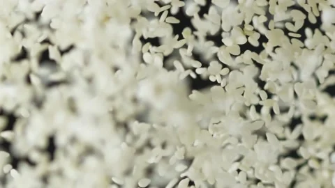 Flying white rice in slow motion on the black background Vídeo Stock 148553491
