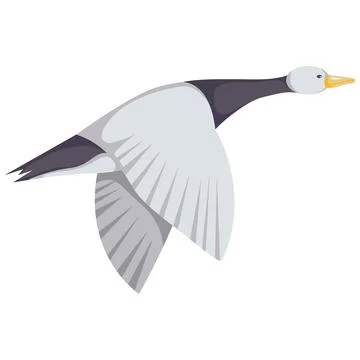 Flying wild duck Stock Illustration