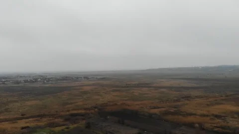 Flying in a wild field to a flock of sheep Stock Footage 121607116