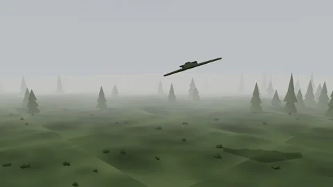 Flying wing low over grey forest 库存影片 342255479
