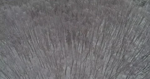 Flying in the winter cloud Stock Footage 147192461