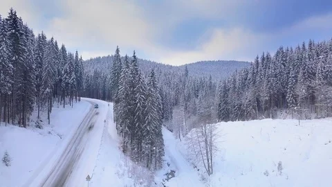 Flying in the winter forest Stock Footage 102030739