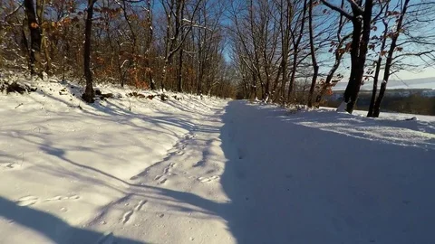 Flying in the winter forest,fly over snow Stock Footage 80314391