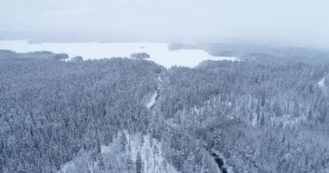 Flying in winter over beautiful spruce forest covered with snow. Stock Footage 147040002