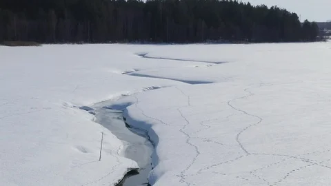 Flying in winter over a swamp covered with forest. River in snow Stock Footage 127432989