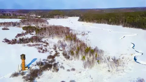 Flying in winter over a swamp covered with forest. Watercolor illustration. S Ilustração Stock