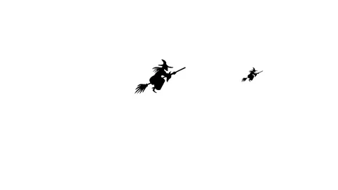 Flying Witches Silhouette Stock Footage 317011980