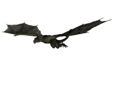 Flying wyvern イラスト素材
