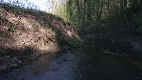 FlyingAlongCreek 库存影片 130798912