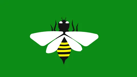 Flyng bee animation green background Stock Footage 317770089