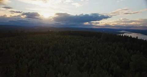 Flyninig over forest Stock Footage 108562020