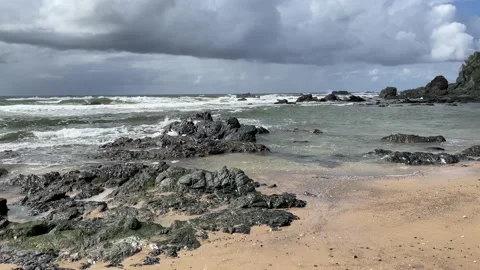 Flynns beach Video stock 152200143