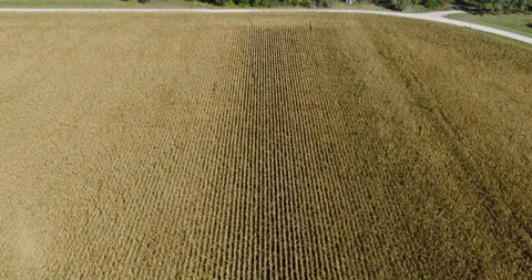 Flyover Agricultural Fields And Grain Silos Of Hassard Elevator In Monroe City Stock Footage 325689541