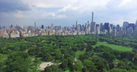 Flyover Algae In Pond At Central Park Vídeos de archivo 59526021
