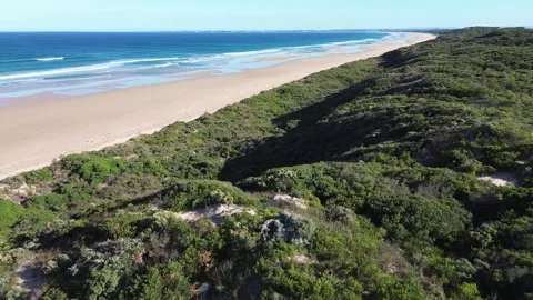 Flyover Along Endless Venus Bay Beach Stock Footage 334836203