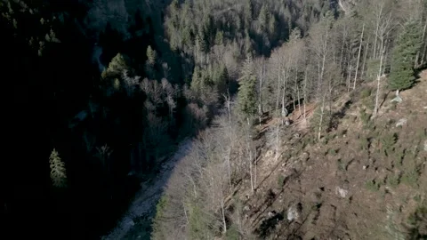 A flyover of an alpine river, captured in D-Log for flexible post-production Stock Footage 301604357