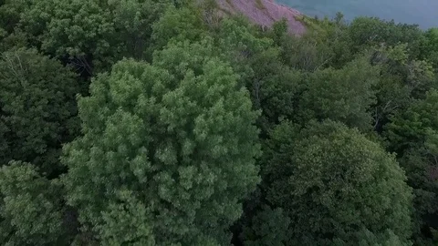 Flyover of Bluffs on Lake Shoreline Stock Footage 80425199