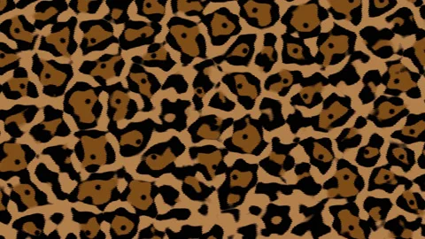 Flyover Camouflage Desert Camo Pattern 스톡 동영상 139712640