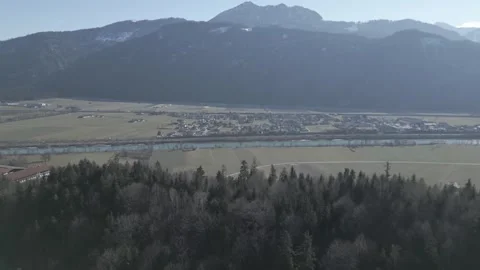 Flyover of dense trees captured in D-Cinelike for post-production flexibility 動画素材 301602254