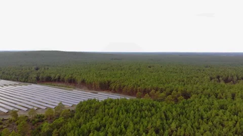 Flyover dolly in over trees towards solar panel field Stock Footage 138755888