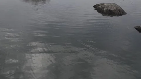 Flyover drone shot of Fleuve St-Laurent St-Lawrence river with rocks in distance Vídeo Stock 290114486