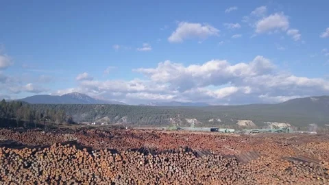 Flyover expansive log yard of stacked logs in mountain valley pulp mill Vídeos de archivo 319017500
