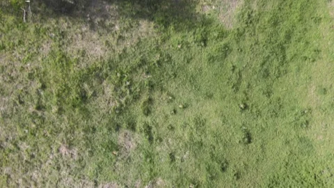 Flyover Video stock 155425602