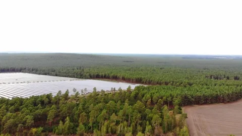 Flyover forest, fields and solar panel field Stock Footage 135523465