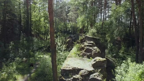 A flyover in the forest over an old structure. Stock Footage 131367726