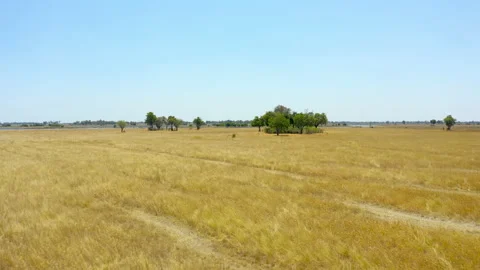 Flyover Grass and Water Okavango Delta Botswana Stock Footage 135257939