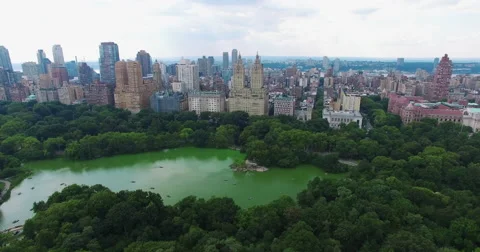 Flyover Green Algae At Central Park Heading Towards San Remo Tenants Corp 스톡 동영상 59525650