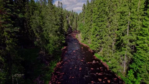 Flyover Mountain River Pine Forests In Scandinavian Wilderness aerial view Vídeo Stock 220111924