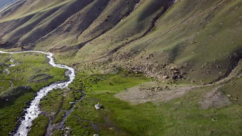 Flyover of a mountain valley with grazing animals Stock-Footage 203801151