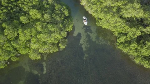 Flyover Ocean View of the Florida Keys of a Small Motorboat in Mangroves Stock Footage 85629062