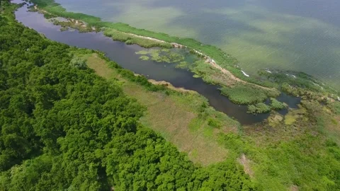 Flyover over water marsh. Stock Footage 83262916
