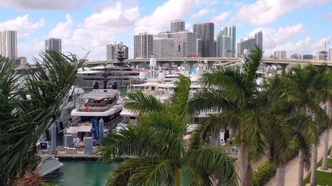 Flyover Palm Trees and Super Yachts in Miami Stock Footage 103062112