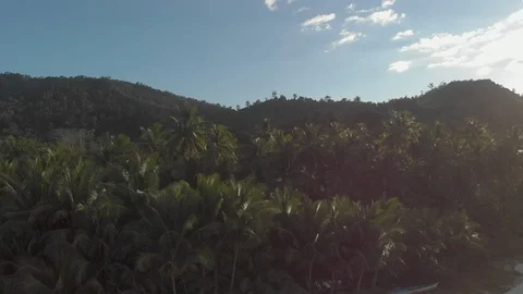 Flyover Philippines beach jungle by sunset Stock Footage 105828013