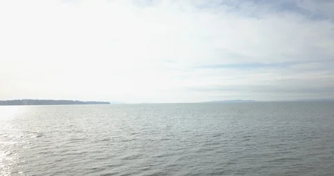 Flyover shot of a beach with seagulls in the foreground Stock Footage 89986331