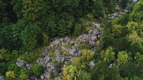 Flyover shot of dried up mountain river in the forest near Olympus in Greece Stock Footage 87944042