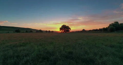 A flyover shot of willow tree which is covering a sunset. Stock Footage 65364880