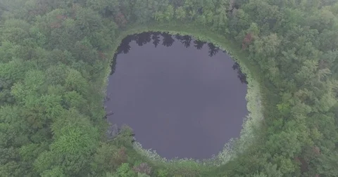 Flyover of Small Private Lake Surrounded by Forest Trees 動画素材 79375064
