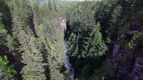 Flyover small river and forest Video stock 63373506