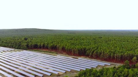 Flyover solar panels in forest during daytime renewable energy aerial Stock Footage 134822854