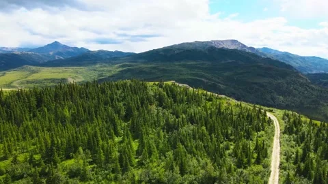 Flyover spruce forest revealing river below Stock Footage 203660407