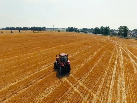 The flyover of the tractor in the field Video stock 73422954