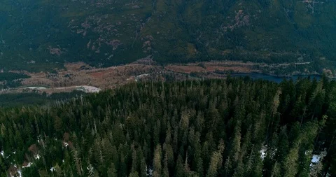 Flyover Trees To Valley Stock Footage 91380955