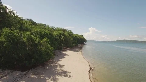Flyover tropical beach Video stock 70527033