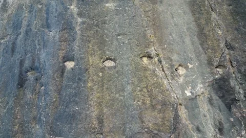 Flyover walking path of fossilized dinosaur footprints in Bolivian rock Stock Footage 325753128