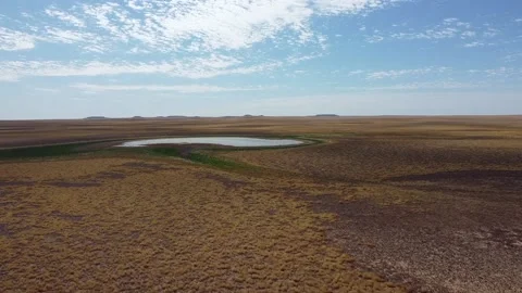 Flyover watering hole Video stock 194930486